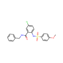 COc1ccc(S(=O)(=O)Nc2ccc(Cl)cc2C(=O)NCc2ccccc2)cc1 ZINC000166304333