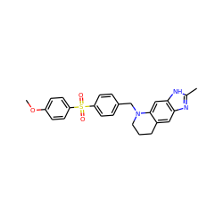 COc1ccc(S(=O)(=O)c2ccc(CN3CCCc4cc5nc(C)[nH]c5cc43)cc2)cc1 ZINC000008569028
