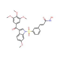 COc1ccc2c(C(=O)c3cc(OC)c(OC)c(OC)c3)cn(S(=O)(=O)c3cccc(/C=C/C(=O)NO)c3)c2c1 ZINC001772620679