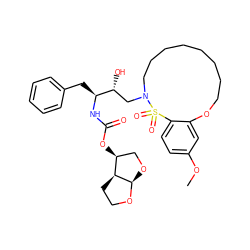 COc1ccc2c(c1)OCCCCCCCCN(C[C@@H](O)[C@H](Cc1ccccc1)NC(=O)O[C@H]1CO[C@H]3OCC[C@@H]13)S2(=O)=O ZINC000049694915