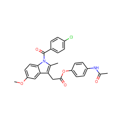 COc1ccc2c(c1)c(CC(=O)Oc1ccc(NC(C)=O)cc1)c(C)n2C(=O)c1ccc(Cl)cc1 ZINC000001843558