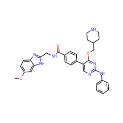 COc1ccc2nc(CNC(=O)c3ccc(-c4cnc(Nc5ccccc5)nc4OCC4CCNCC4)cc3)[nH]c2c1 ZINC001772654165