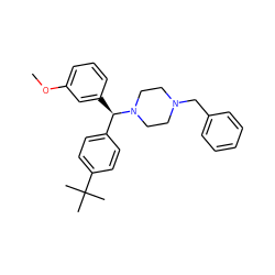 COc1cccc([C@H](c2ccc(C(C)(C)C)cc2)N2CCN(Cc3ccccc3)CC2)c1 ZINC000022939109