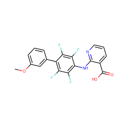 COc1cccc(-c2c(F)c(F)c(Nc3ncccc3C(=O)O)c(F)c2F)c1 ZINC000043196568