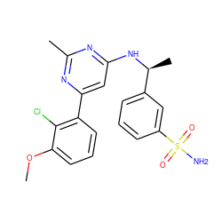 COc1cccc(-c2cc(N[C@@H](C)c3cccc(S(N)(=O)=O)c3)nc(C)n2)c1Cl ZINC000205831383