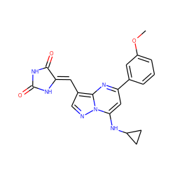 COc1cccc(-c2cc(NC3CC3)n3ncc(/C=C4\NC(=O)NC4=O)c3n2)c1 ZINC000205033771