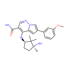 COc1cccc(-c2cc3c(N[C@@H]4CC[C@](C)(N)C4(C)C)c(C(N)=O)cnn3c2)c1 ZINC001772640509