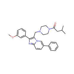 COc1cccc(-c2nc3ccc(-c4ccccc4)cn3c2CN2CCN(C(=O)CC(C)C)CC2)c1 ZINC000037384573