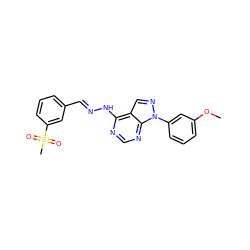 COc1cccc(-n2ncc3c(N/N=C/c4cccc(S(C)(=O)=O)c4)ncnc32)c1 ZINC000003938391