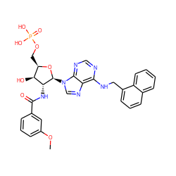 COc1cccc(C(=O)N[C@@H]2[C@@H](O)[C@@H](COP(=O)(O)O)O[C@H]2n2cnc3c(NCc4cccc5ccccc45)ncnc32)c1 ZINC000026282340