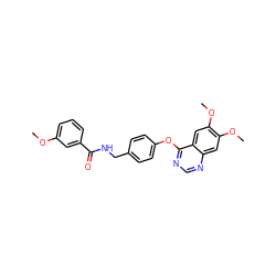 COc1cccc(C(=O)NCc2ccc(Oc3ncnc4cc(OC)c(OC)cc34)cc2)c1 ZINC000082158389