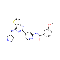 COc1cccc(C(=O)Nc2cc(-c3nc(N[C@@H]4CCNC4)c4sccc4n3)ccn2)c1 ZINC000223671927