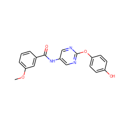 COc1cccc(C(=O)Nc2cnc(Oc3ccc(O)cc3)nc2)c1 ZINC000096285789