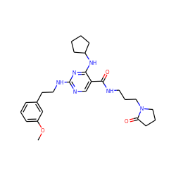 COc1cccc(CCNc2ncc(C(=O)NCCCN3CCCC3=O)c(NC3CCCC3)n2)c1 ZINC000095595926