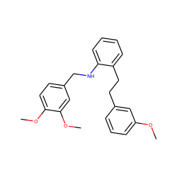 COc1cccc(CCc2ccccc2NCc2ccc(OC)c(OC)c2)c1 ZINC000029135596