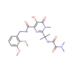 COc1cccc(CNC(=O)c2nc(C(C)(C)NC(=O)C(=O)N(C)C)n(C)c(=O)c2O)c1OC ZINC000040873414