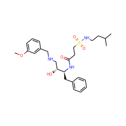 COc1cccc(CNC[C@@H](O)[C@H](Cc2ccccc2)NC(=O)CCS(=O)(=O)NCCC(C)C)c1 ZINC000028968606