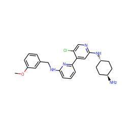 COc1cccc(CNc2cccc(-c3cc(N[C@H]4CC[C@H](N)CC4)ncc3Cl)n2)c1 ZINC000261152750