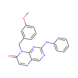 COc1cccc(Cn2c(=O)cnc3cnc(Nc4ccccc4)nc32)c1 ZINC000004238655