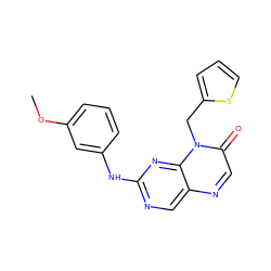 COc1cccc(Nc2ncc3ncc(=O)n(Cc4cccs4)c3n2)c1 ZINC000004238731