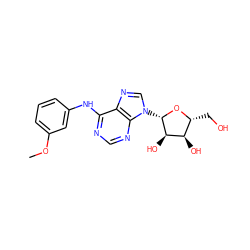 COc1cccc(Nc2ncnc3c2ncn3[C@@H]2O[C@H](CO)[C@@H](O)[C@H]2O)c1 ZINC000012405309