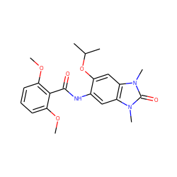 COc1cccc(OC)c1C(=O)Nc1cc2c(cc1OC(C)C)n(C)c(=O)n2C ZINC000653823889