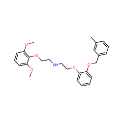 COc1cccc(OC)c1OCCNCCOc1ccccc1OCc1cccc(C)c1 ZINC000013676645
