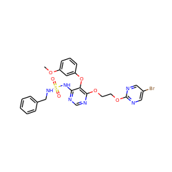 COc1cccc(Oc2c(NS(=O)(=O)NCc3ccccc3)ncnc2OCCOc2ncc(Br)cn2)c1 ZINC000095553216