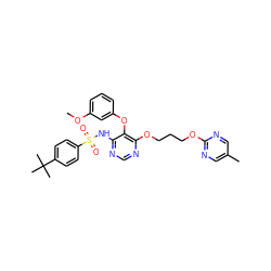 COc1cccc(Oc2c(NS(=O)(=O)c3ccc(C(C)(C)C)cc3)ncnc2OCCCOc2ncc(C)cn2)c1 ZINC000027077987