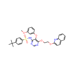 COc1cccc(Oc2c(NS(=O)(=O)c3ccc(C(C)(C)C)cc3)ncnc2OCCOc2ccc3ccccc3n2)c1 ZINC000026996463