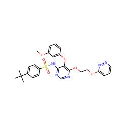 COc1cccc(Oc2c(NS(=O)(=O)c3ccc(C(C)(C)C)cc3)ncnc2OCCOc2cccnn2)c1 ZINC000027082236