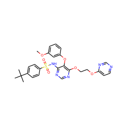 COc1cccc(Oc2c(NS(=O)(=O)c3ccc(C(C)(C)C)cc3)ncnc2OCCOc2ccncn2)c1 ZINC000027075322