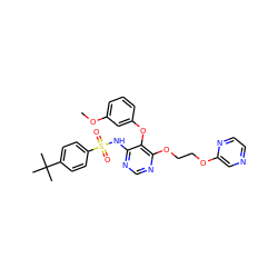 COc1cccc(Oc2c(NS(=O)(=O)c3ccc(C(C)(C)C)cc3)ncnc2OCCOc2cnccn2)c1 ZINC000027074893