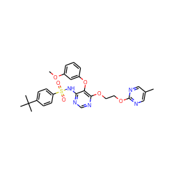 COc1cccc(Oc2c(NS(=O)(=O)c3ccc(C(C)(C)C)cc3)ncnc2OCCOc2ncc(C)cn2)c1 ZINC000027078126