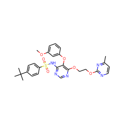 COc1cccc(Oc2c(NS(=O)(=O)c3ccc(C(C)(C)C)cc3)ncnc2OCCOc2nccc(C)n2)c1 ZINC000027079527