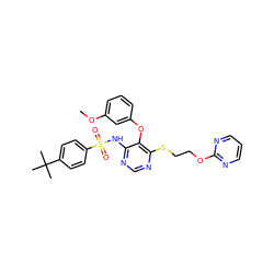 COc1cccc(Oc2c(NS(=O)(=O)c3ccc(C(C)(C)C)cc3)ncnc2SCCOc2ncccn2)c1 ZINC000027073570