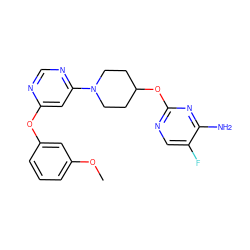 COc1cccc(Oc2cc(N3CCC(Oc4ncc(F)c(N)n4)CC3)ncn2)c1 ZINC000049048961