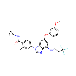 COc1cccc(Oc2cc(NCCC(F)(F)F)c3ncn(-c4ccc(C(=O)NC5CC5)c(C)c4)c3c2)c1 ZINC000147663600