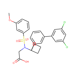 COc1cccc(S(=O)(=O)N(CC(=O)O)C2(c3cccc(-c4cc(Cl)cc(Cl)c4)c3)CCC2)c1 ZINC000118684000