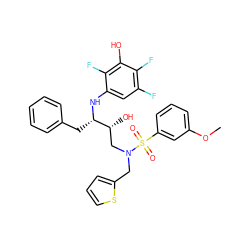 COc1cccc(S(=O)(=O)N(Cc2cccs2)C[C@@H](O)[C@H](Cc2ccccc2)Nc2cc(F)c(F)c(O)c2F)c1 ZINC000044419029