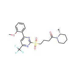 COc1ccccc1-c1cc(C(F)(F)F)nc(S(=O)(=O)CCCC(=O)N2CCCC[C@H]2C)n1 ZINC000004102028