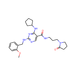 COc1ccccc1CNc1ncc(C(=O)NCCCN2CCCC2=O)c(NC2CCCC2)n1 ZINC000095597132