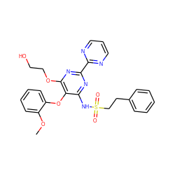 COc1ccccc1Oc1c(NS(=O)(=O)CCc2ccccc2)nc(-c2ncccn2)nc1OCCO ZINC000038391116