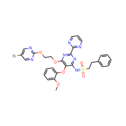 COc1ccccc1Oc1c(NS(=O)(=O)CCc2ccccc2)nc(-c2ncccn2)nc1OCCOc1ncc(Br)cn1 ZINC000095555792