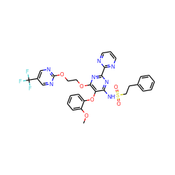 COc1ccccc1Oc1c(NS(=O)(=O)CCc2ccccc2)nc(-c2ncccn2)nc1OCCOc1ncc(C(F)(F)F)cn1 ZINC000095554322