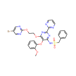 COc1ccccc1Oc1c(NS(=O)(=O)Cc2ccccc2)nc(-c2ncccn2)nc1OCCOc1ncc(Br)cn1 ZINC000095554696