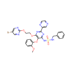 COc1ccccc1Oc1c(NS(=O)(=O)NCc2ccccc2)nc(-c2cnccn2)nc1OCCOc1ncc(Br)cn1 ZINC000095553918