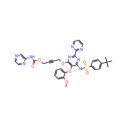 COc1ccccc1Oc1c(NS(=O)(=O)c2ccc(C(C)(C)C)cc2)nc(-c2ncccn2)nc1OCC#CCOC(=O)Nc1cnccn1 ZINC000028013007