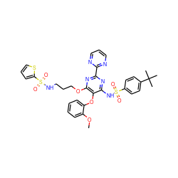 COc1ccccc1Oc1c(NS(=O)(=O)c2ccc(C(C)(C)C)cc2)nc(-c2ncccn2)nc1OCCCNS(=O)(=O)c1cccs1 ZINC000028021444