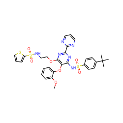 COc1ccccc1Oc1c(NS(=O)(=O)c2ccc(C(C)(C)C)cc2)nc(-c2ncccn2)nc1OCCNS(=O)(=O)c1cccs1 ZINC000028018989